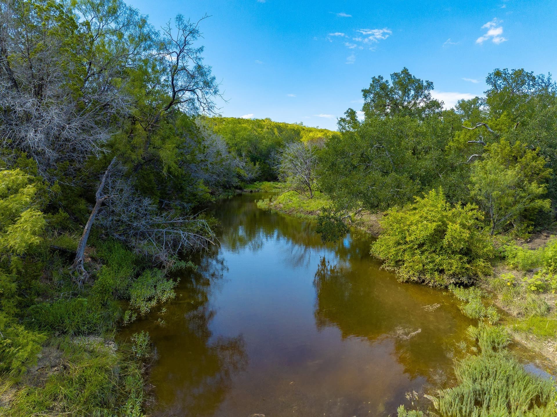 1,481 acres in Coleman County - photo 3