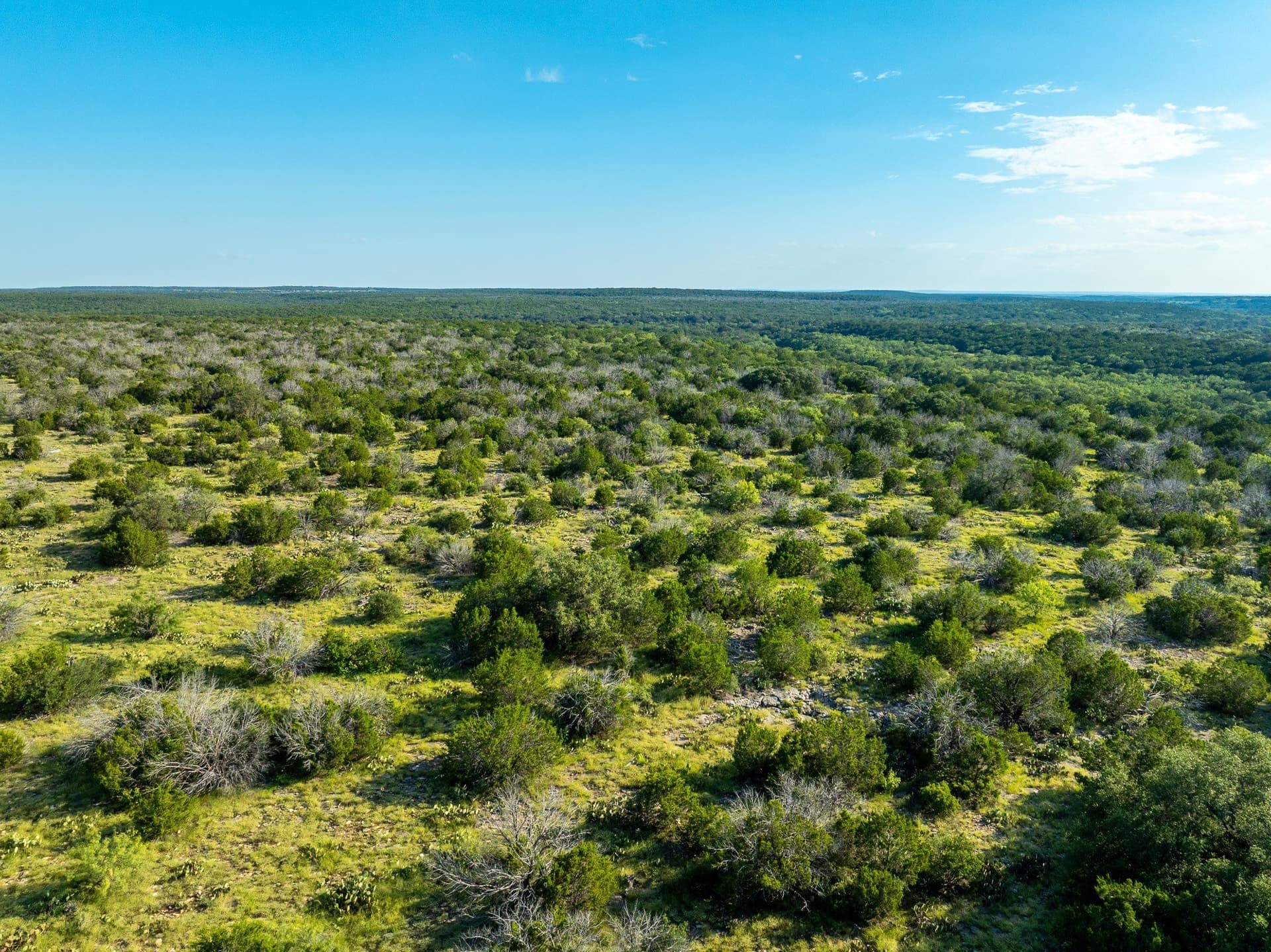 1,481 acres in Coleman County - photo 6