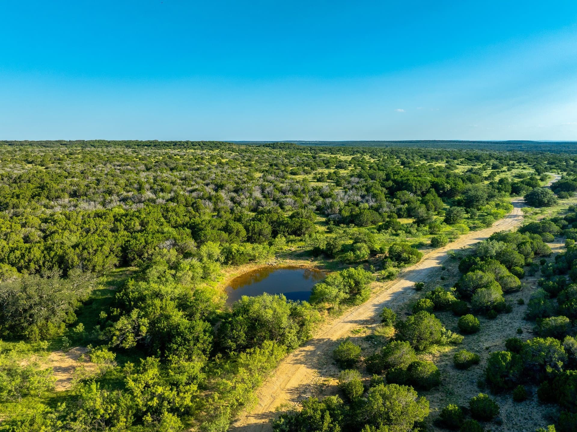 1,481 acres in Coleman County - photo 14