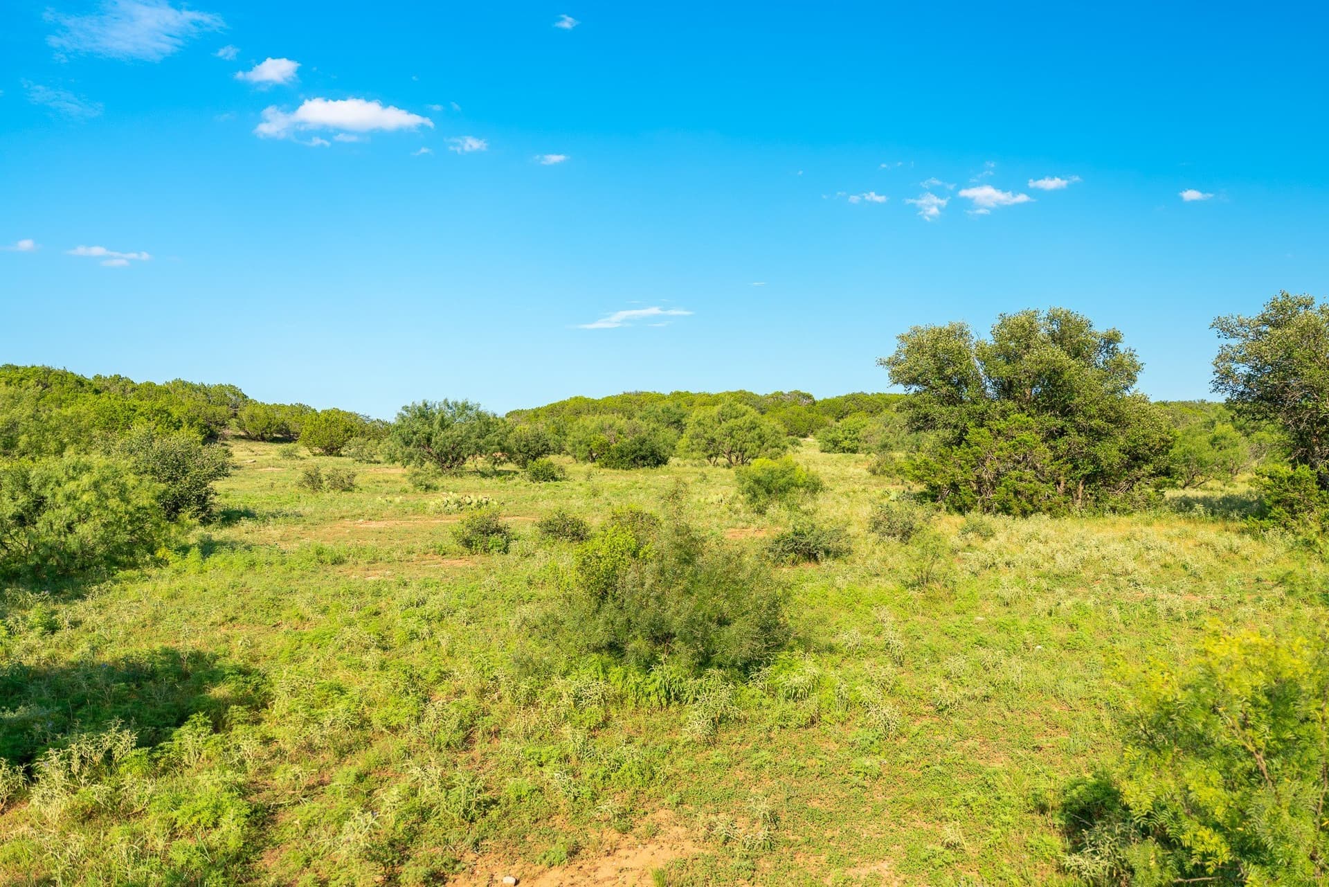 1,481 acres in Coleman County - photo 23