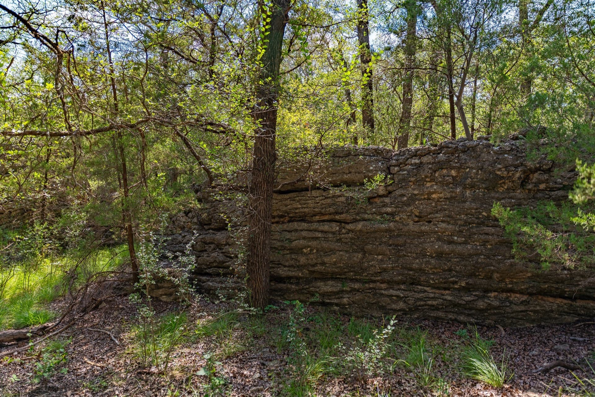 1,481 acres in Coleman County - photo 18