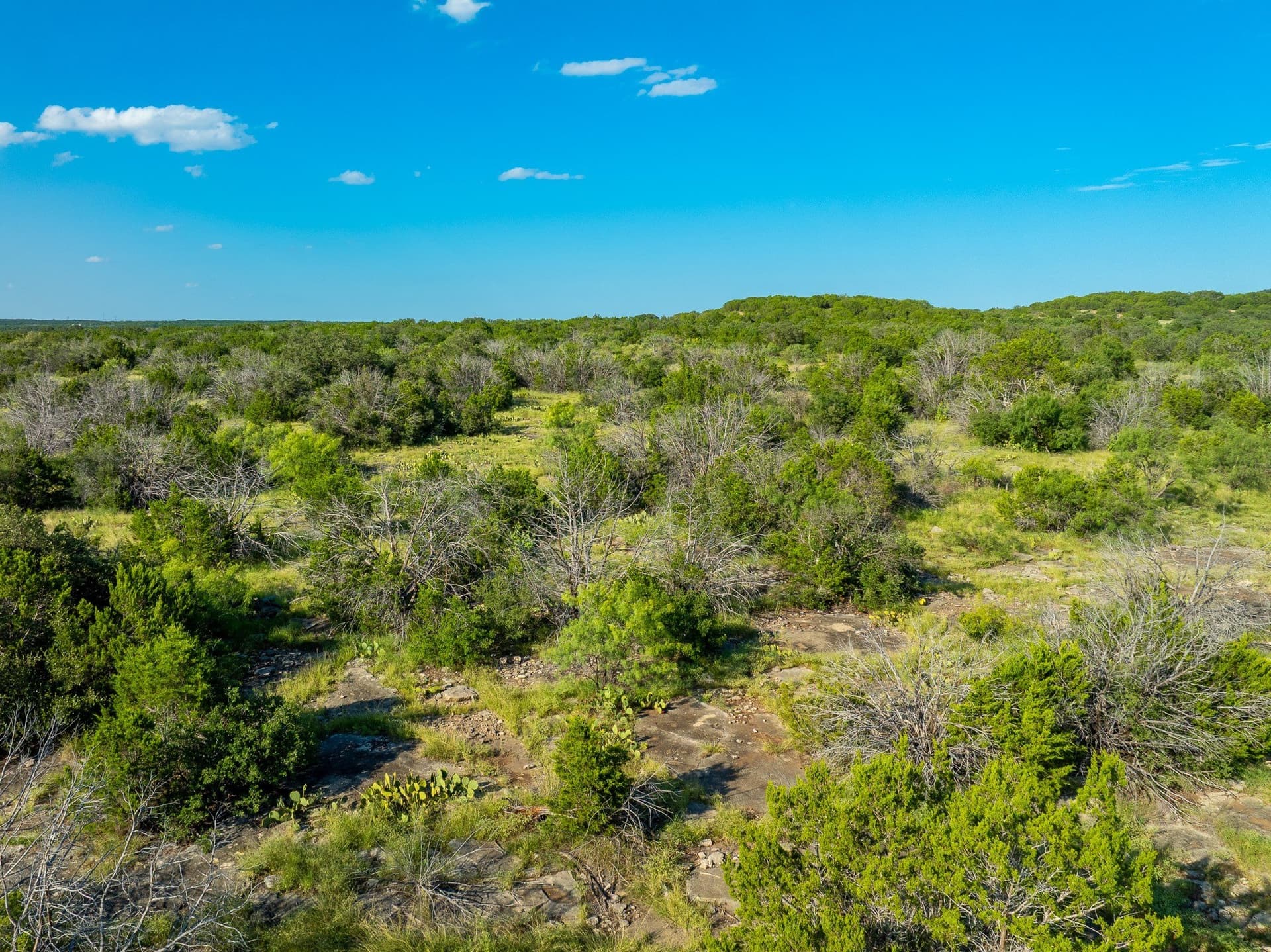 1,481 acres in Coleman County - photo 4