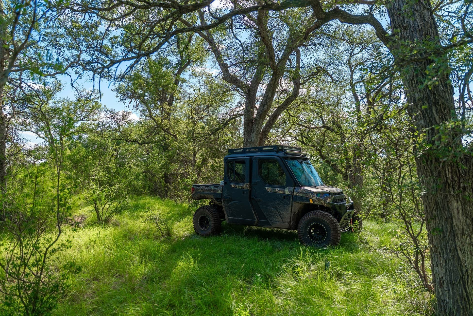 1,481 acres in Coleman County - photo 19