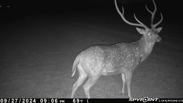 33.35 acres in Bandera County - photo 73