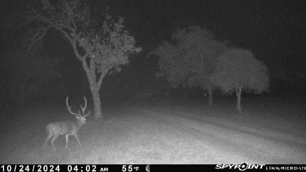 33.35 acres in Bandera County - photo 71