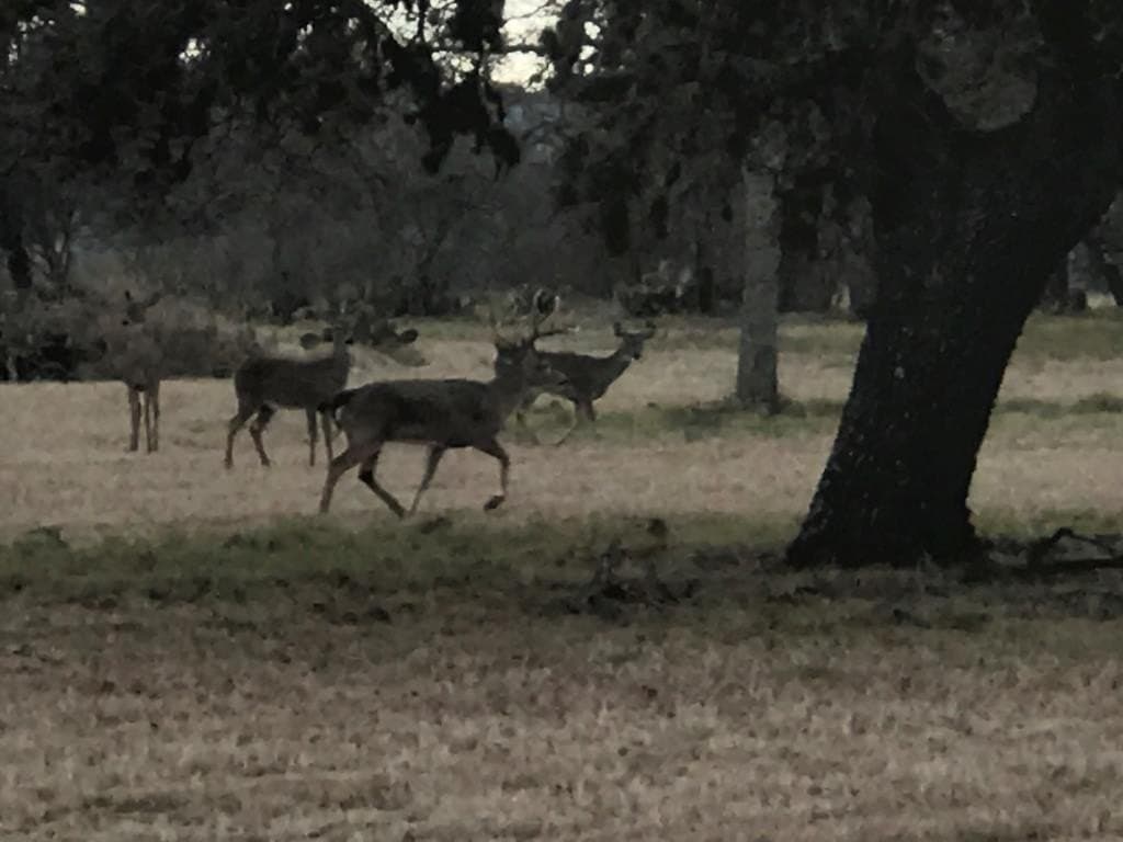 33.35 acres in Bandera County - photo 65