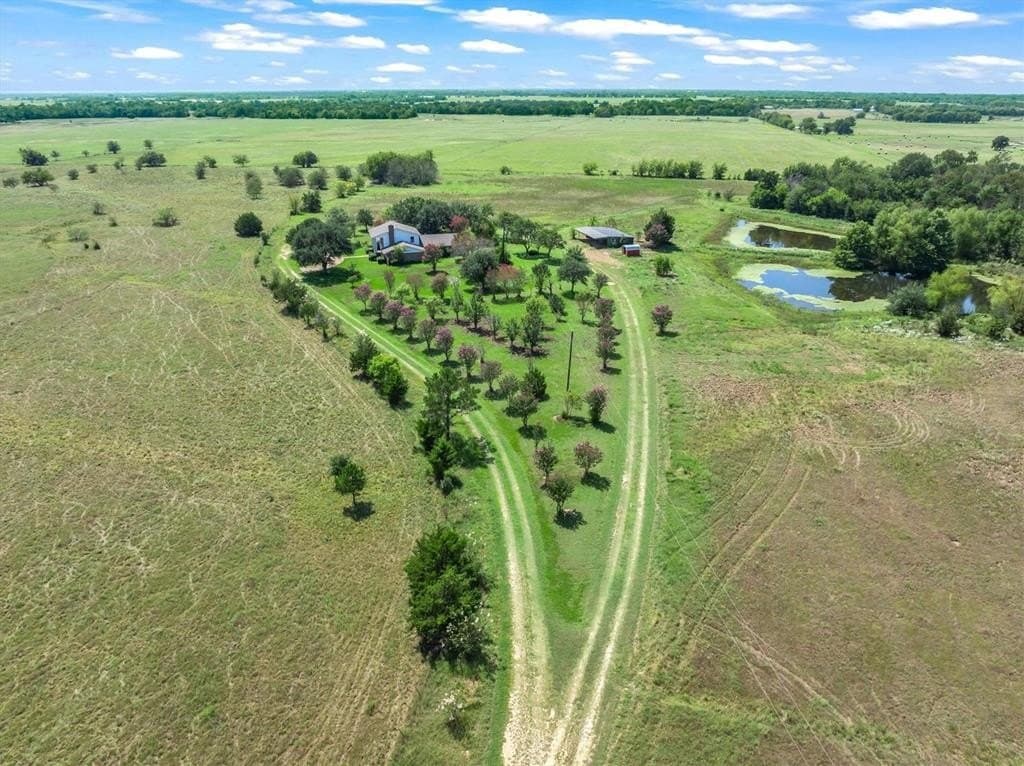 29 acres in Van Zandt County gallery image 2