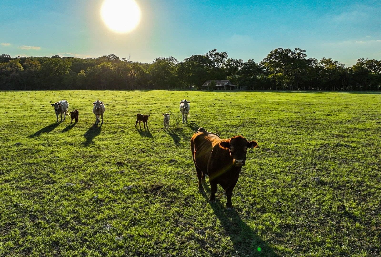 88.68 acres in Hays County - photo 18