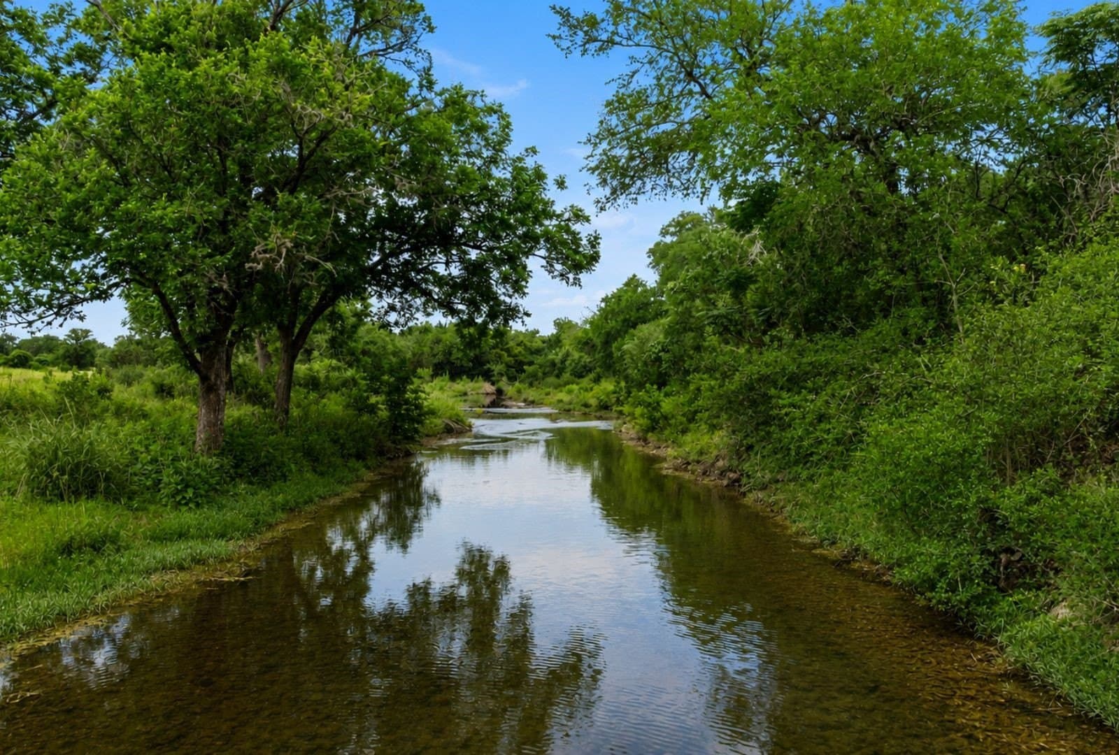 88.68 acres in Hays County gallery image 3