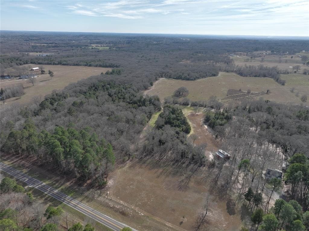 232.98 acres in Wood County gallery image 3