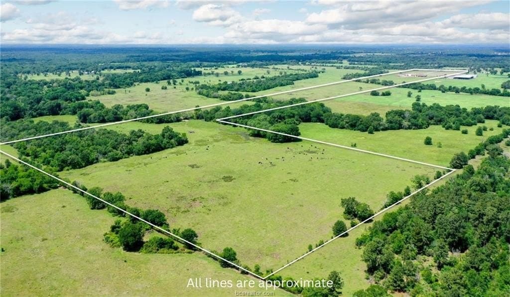 93.33 acres in Grimes County