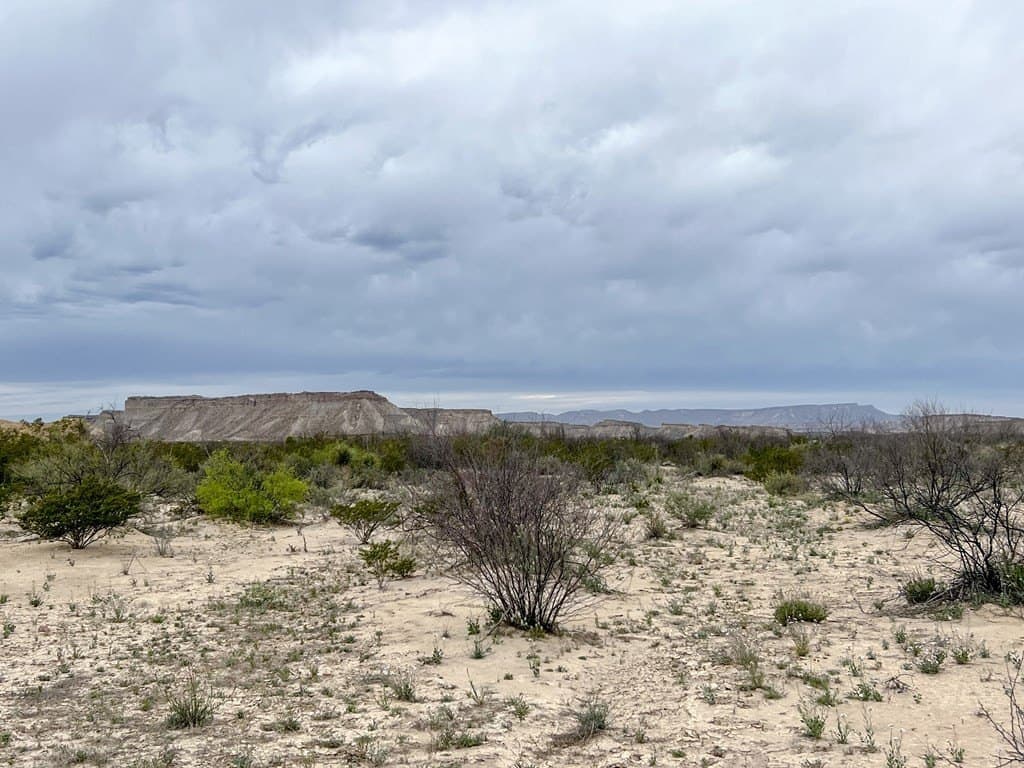 5 acres in Brewster County - photo 16