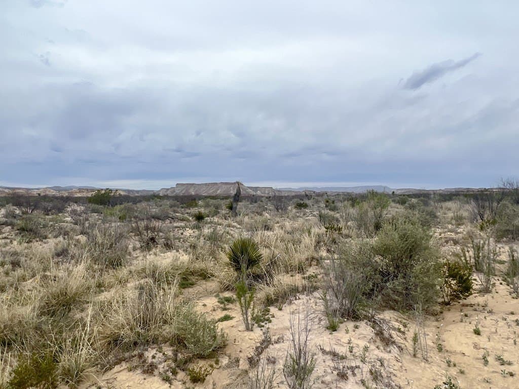 5 acres in Brewster County - photo 5