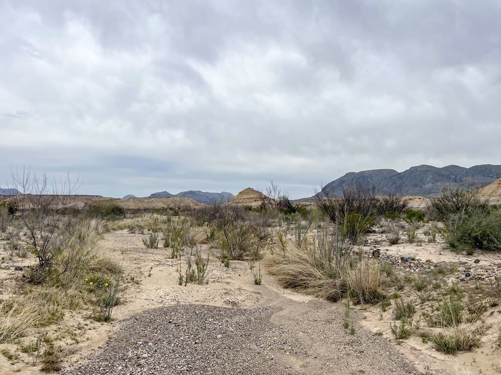 5 acres in Brewster County - photo 11