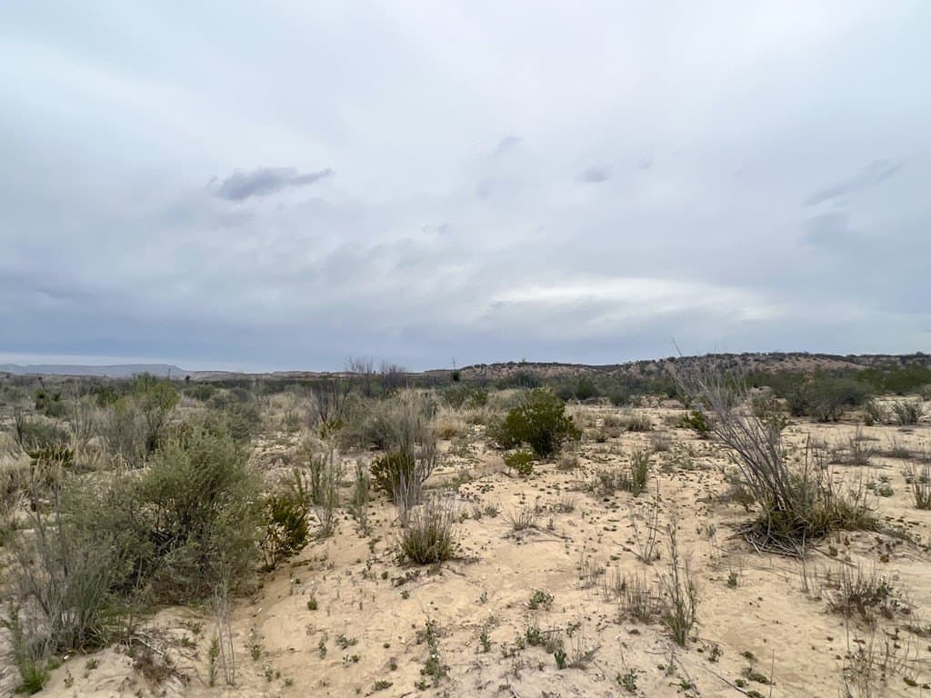 5 acres in Brewster County - photo 6