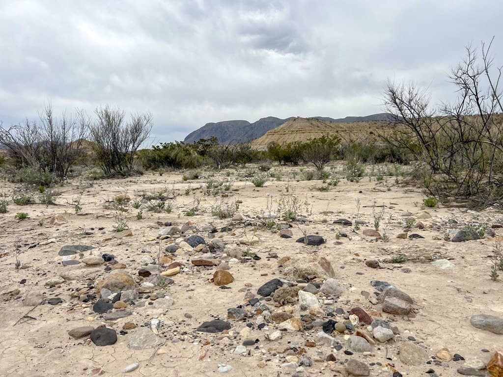 5 acres in Brewster County - photo 17
