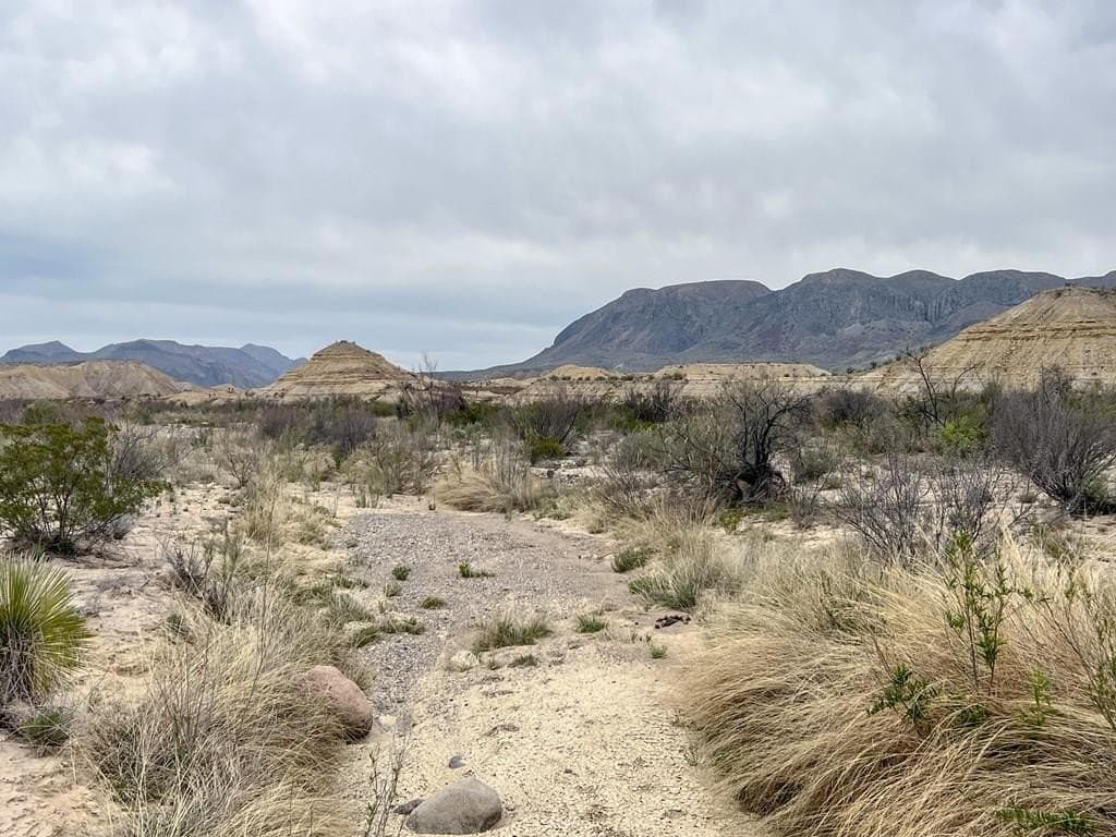 5 acres in Brewster County