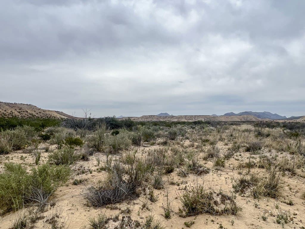5 acres in Brewster County - photo 8