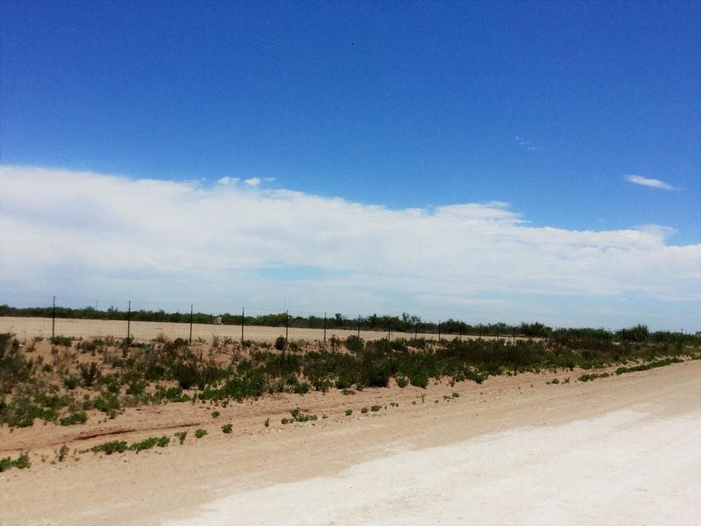 17 acres in Ward County gallery image 2