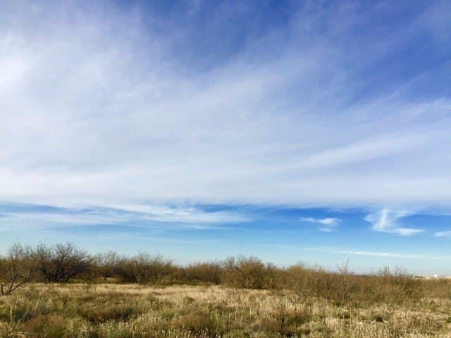 17 acres in Ward County gallery image 4