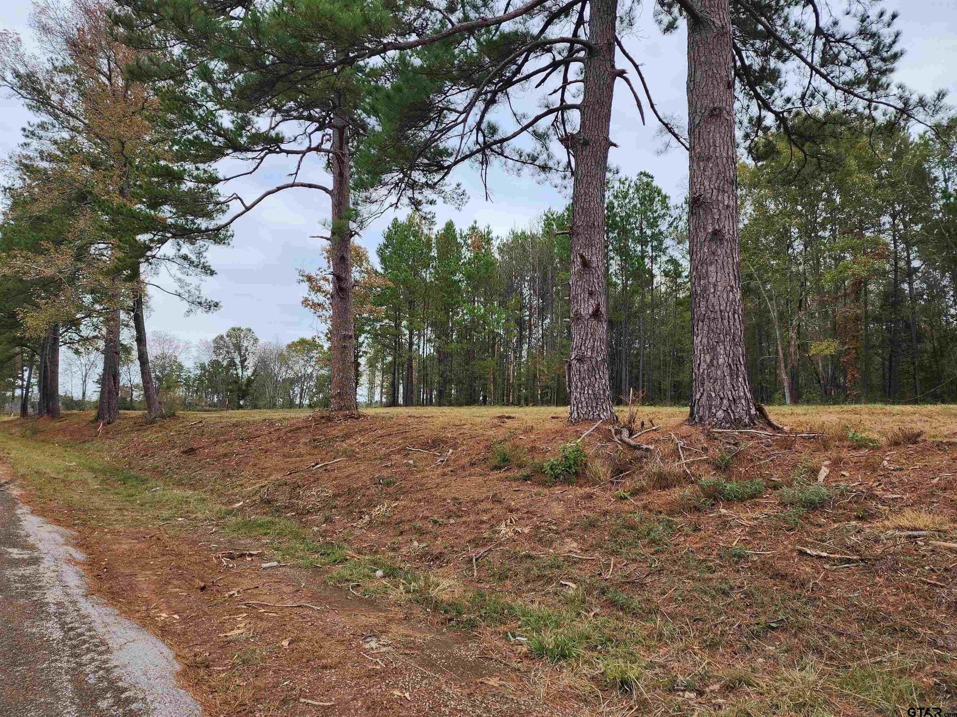 2.86 acres in Smith County - photo 10