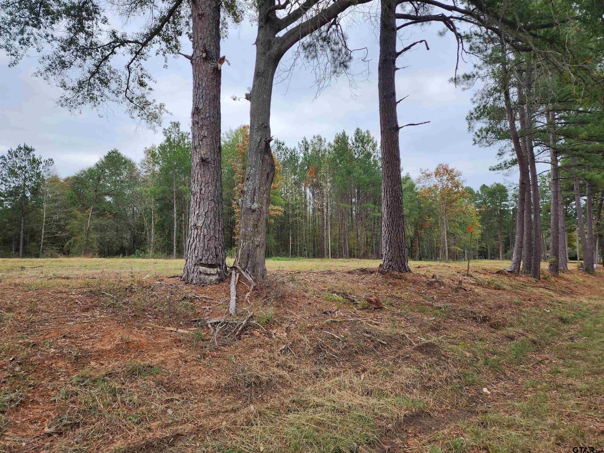 2.86 acres in Smith County - photo 2