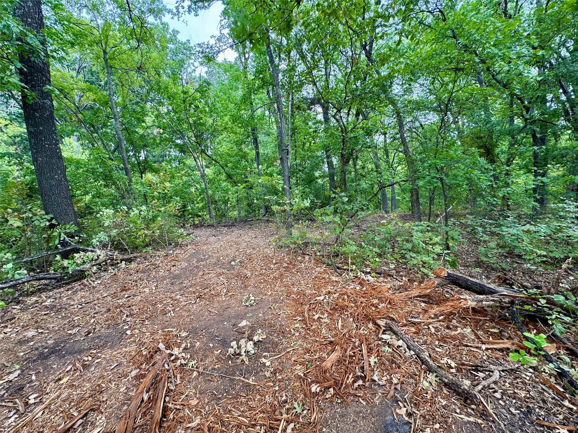 3.89 acres in Collin County - photo 7