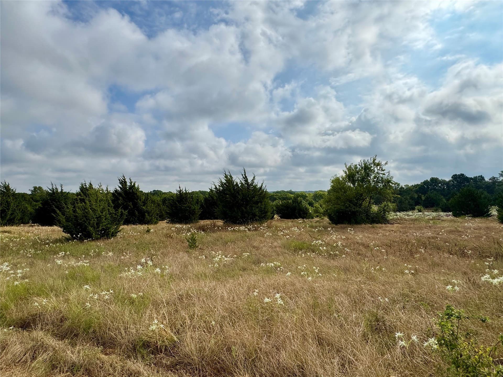 3.89 acres in Collin County - photo 12