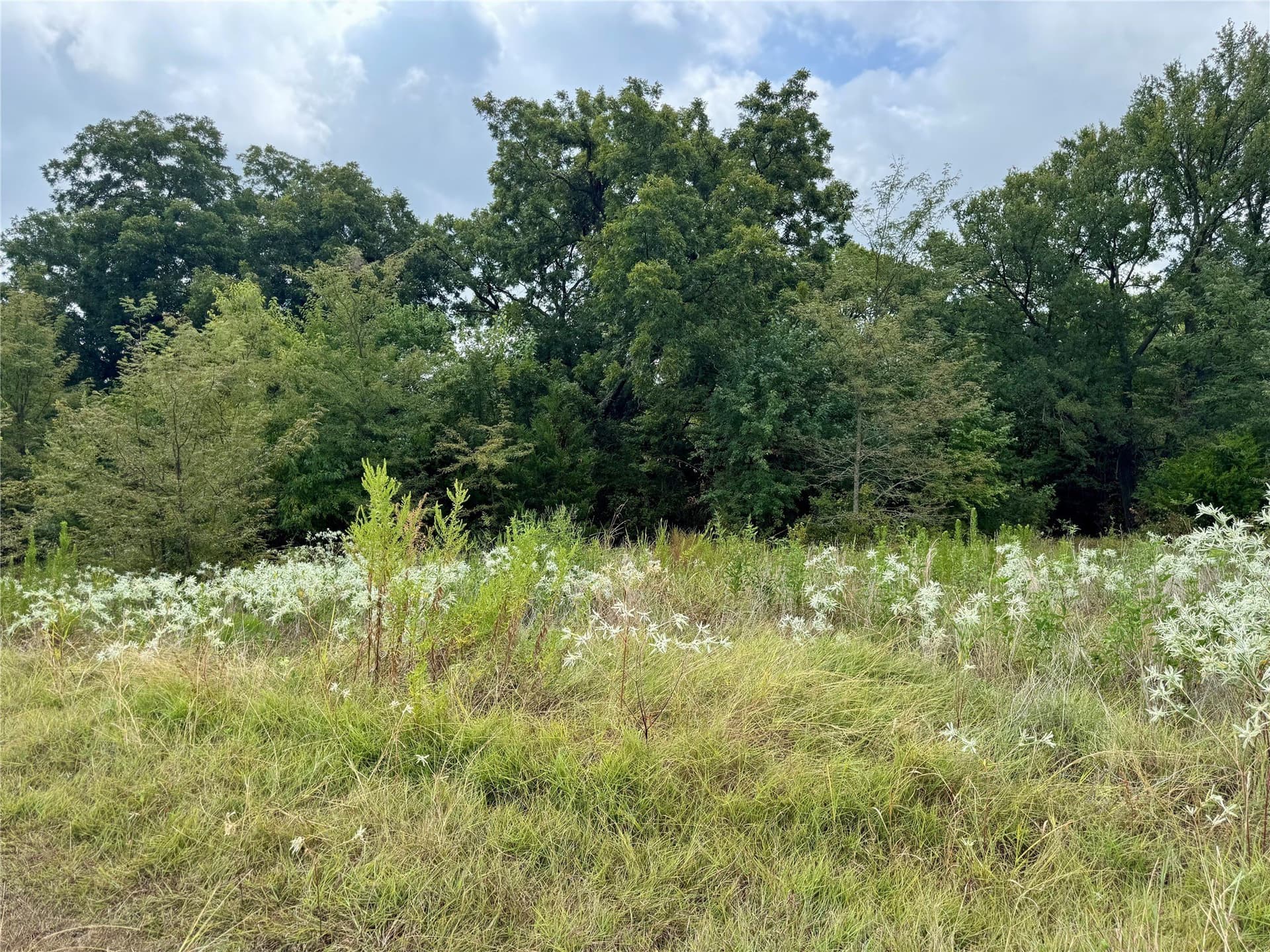 3.89 acres in Collin County - photo 16