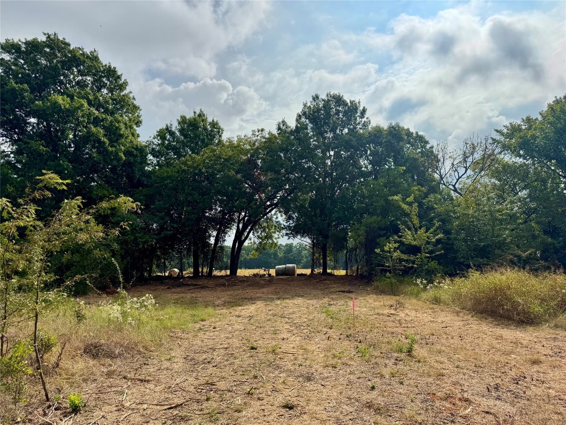 3.89 acres in Collin County - photo 3
