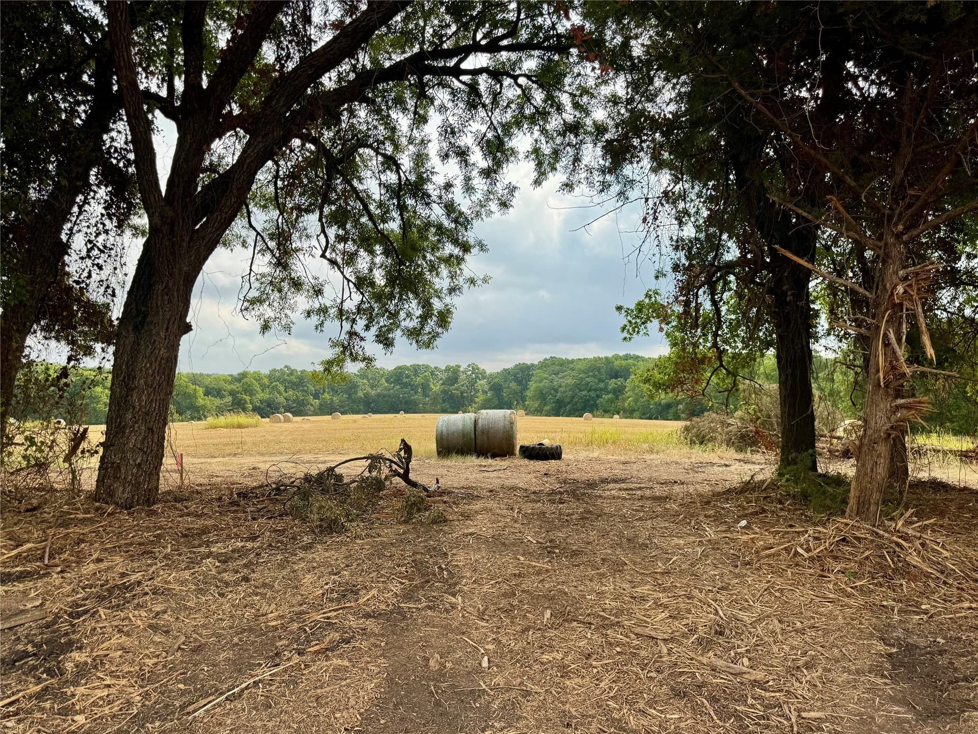 3.89 acres in Collin County - photo 4