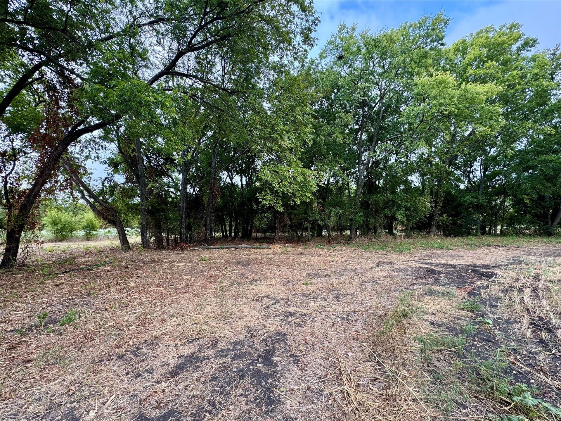 3.89 acres in Collin County - photo 9