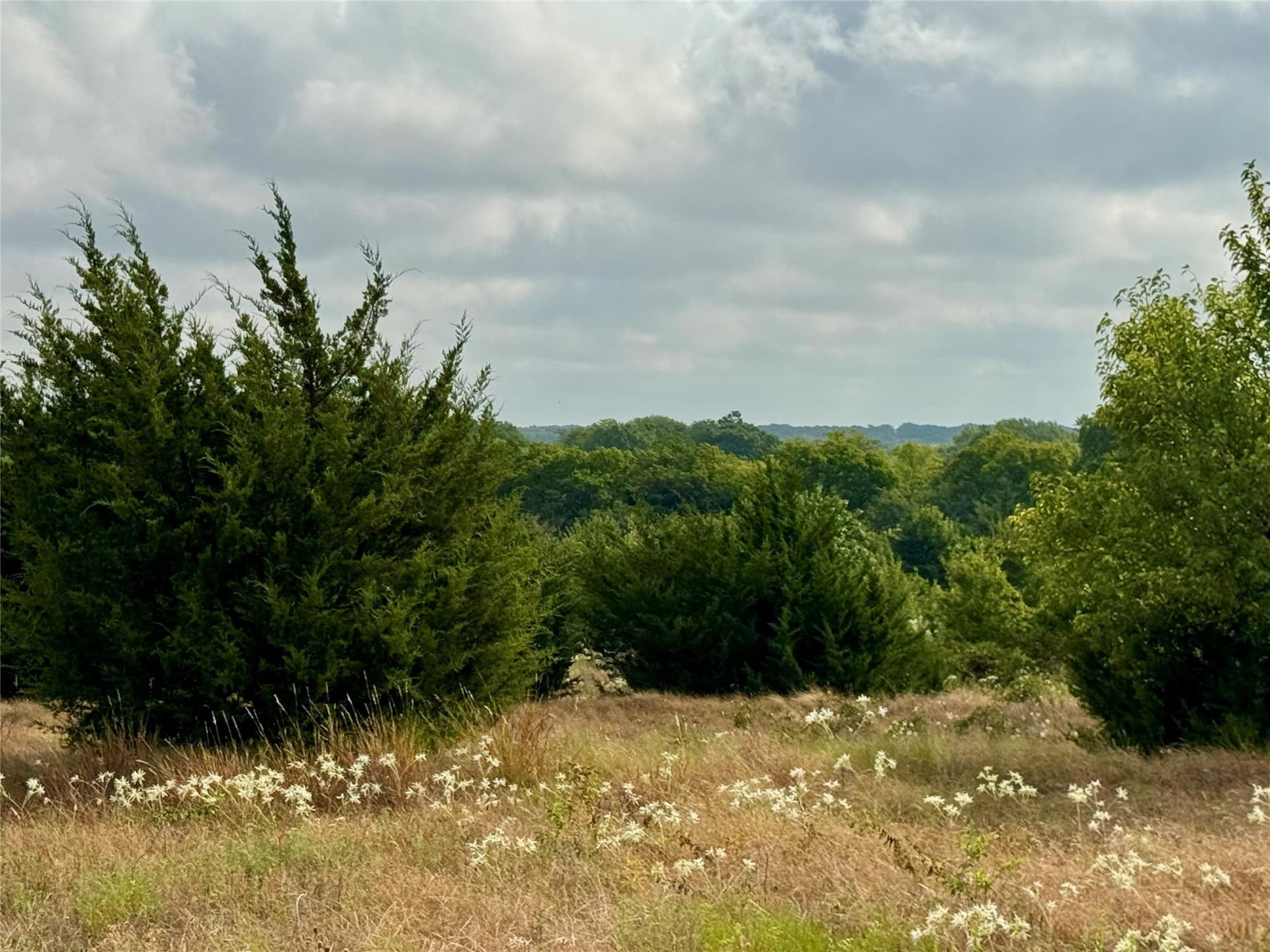 3.89 acres in Collin County - photo 5