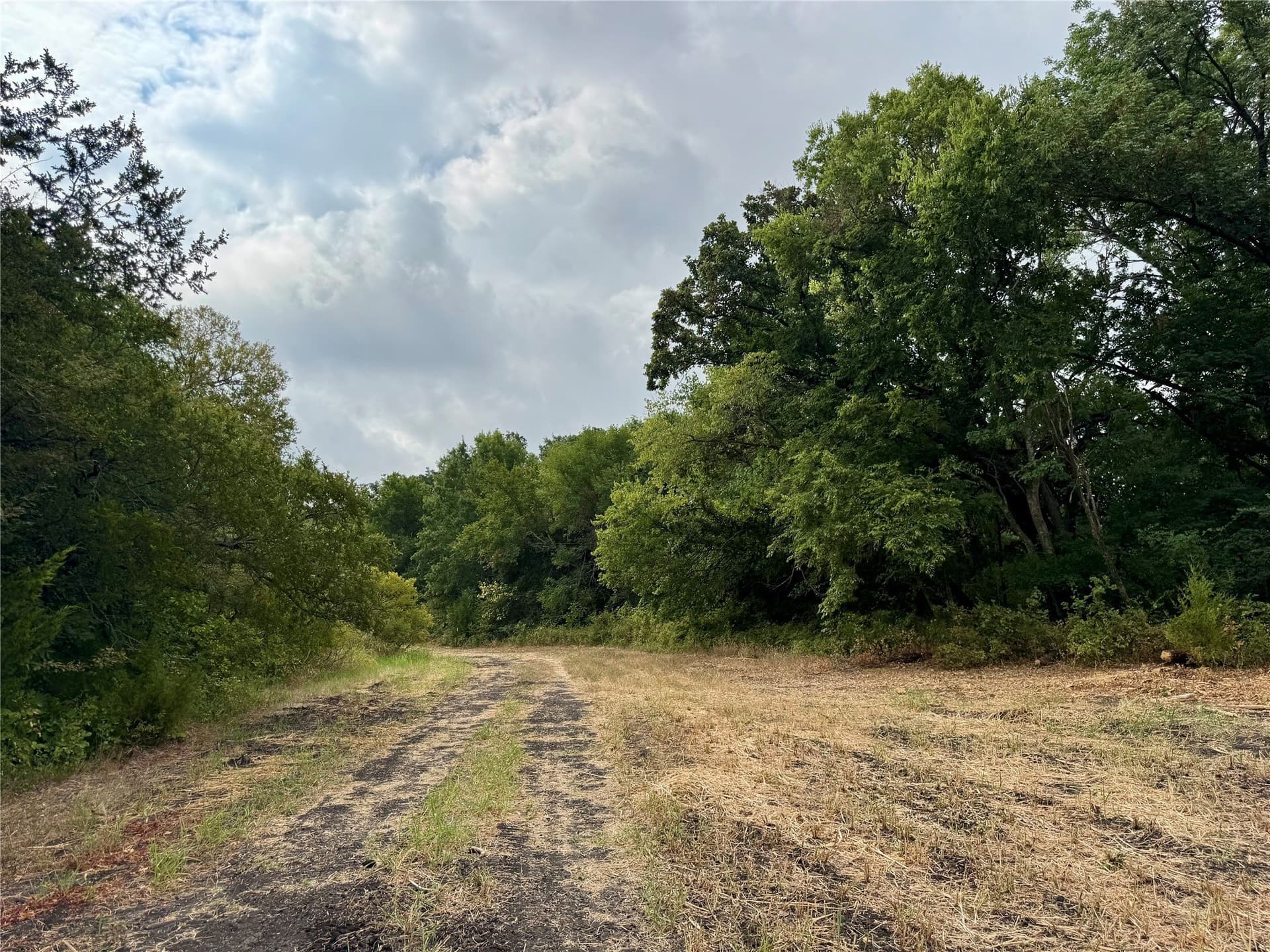 3.89 acres in Collin County - photo 14