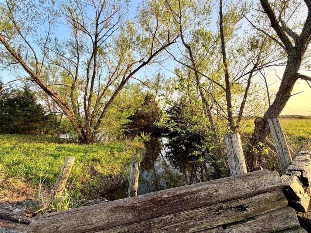 6 acres in Fannin County featured view