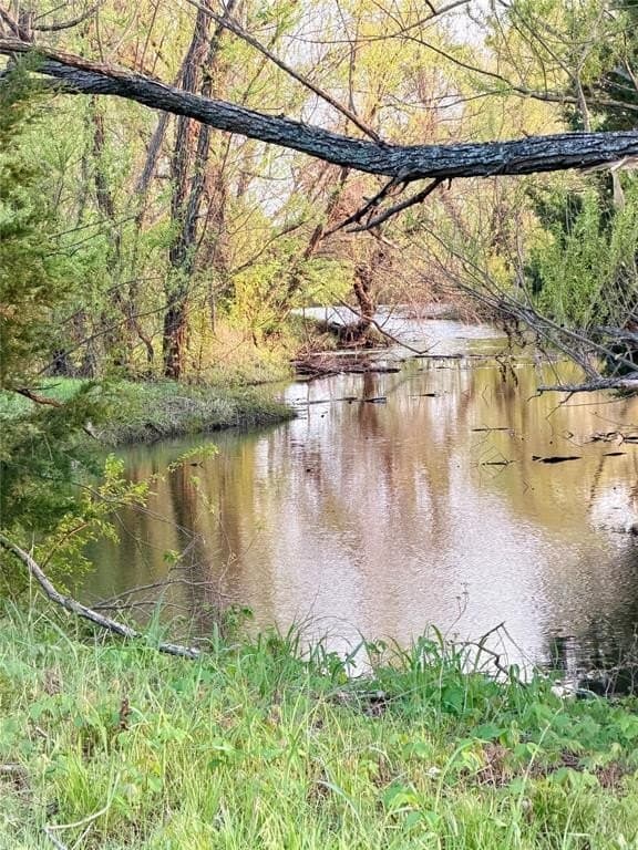 6 acres in Fannin County gallery image 3