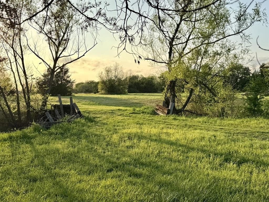 6 acres in Fannin County gallery image 2