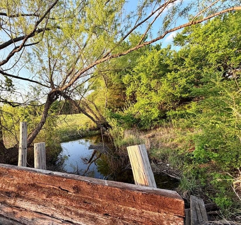 6 acres in Fannin County gallery image 4