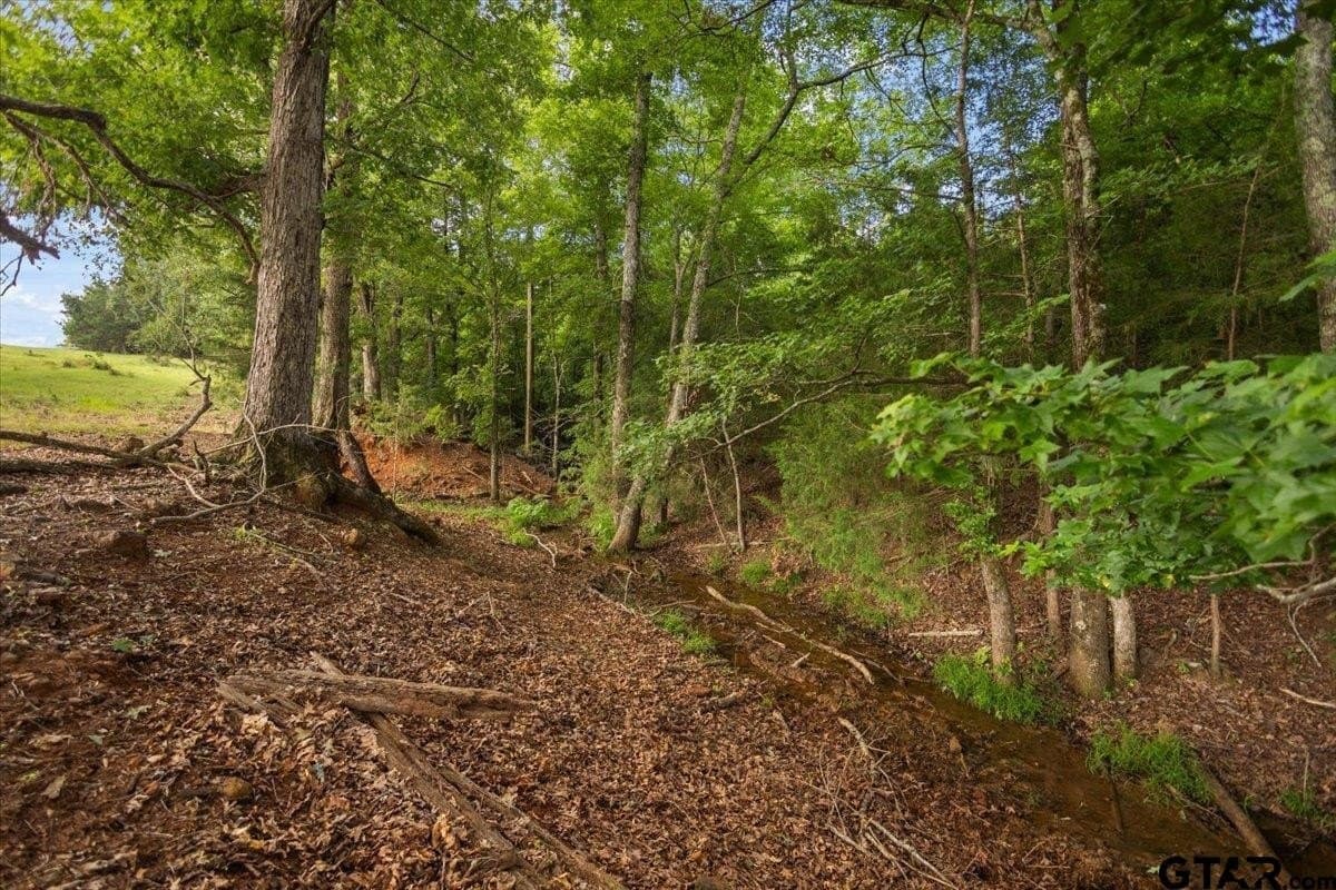78 acres in Rusk County - photo 35