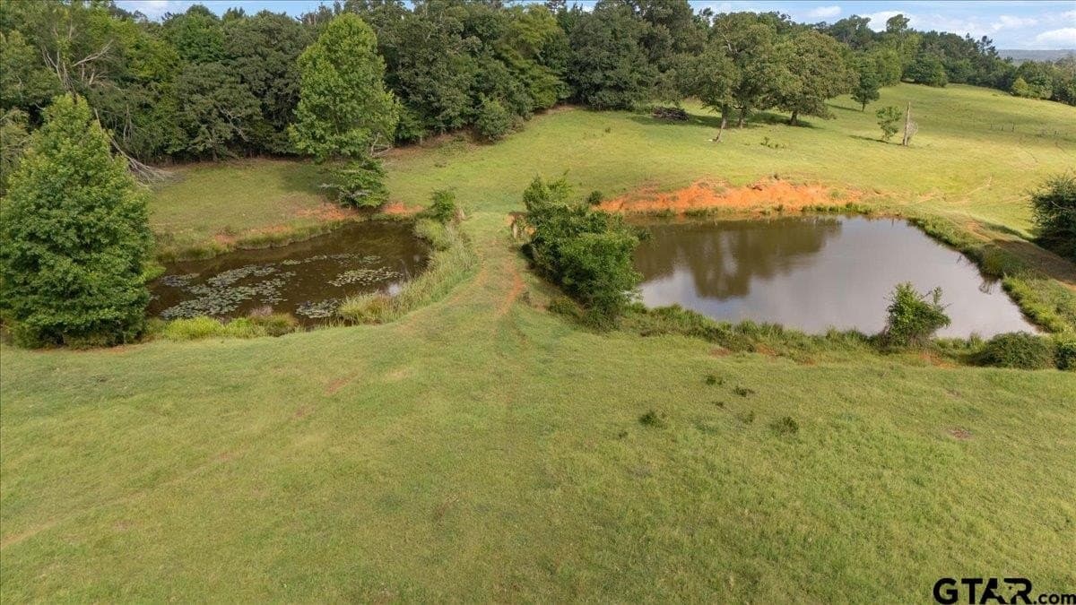 78 acres in Rusk County gallery image 3