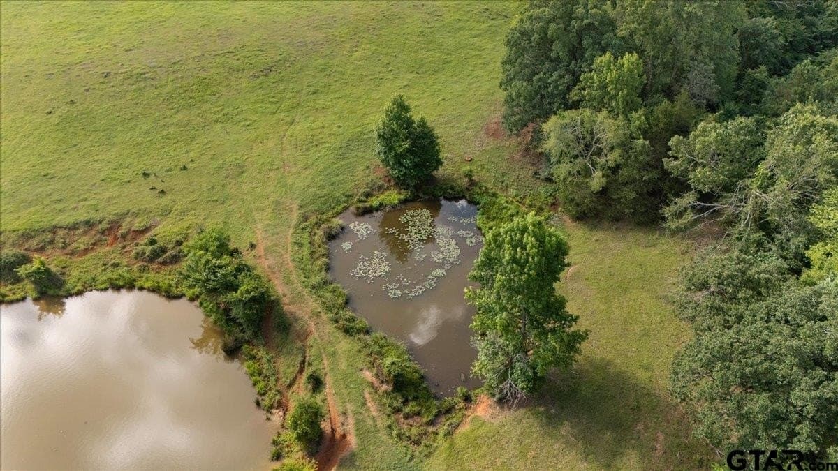 78 acres in Rusk County - photo 6