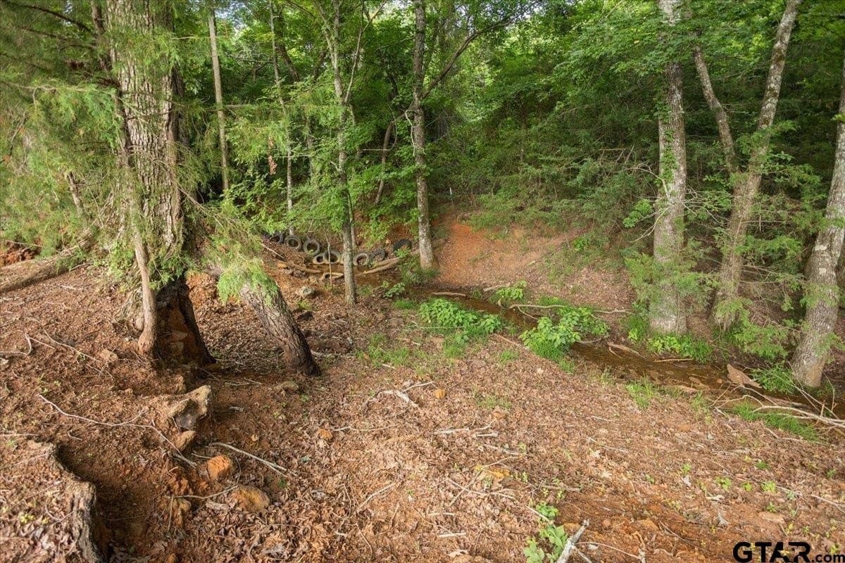 78 acres in Rusk County - photo 32