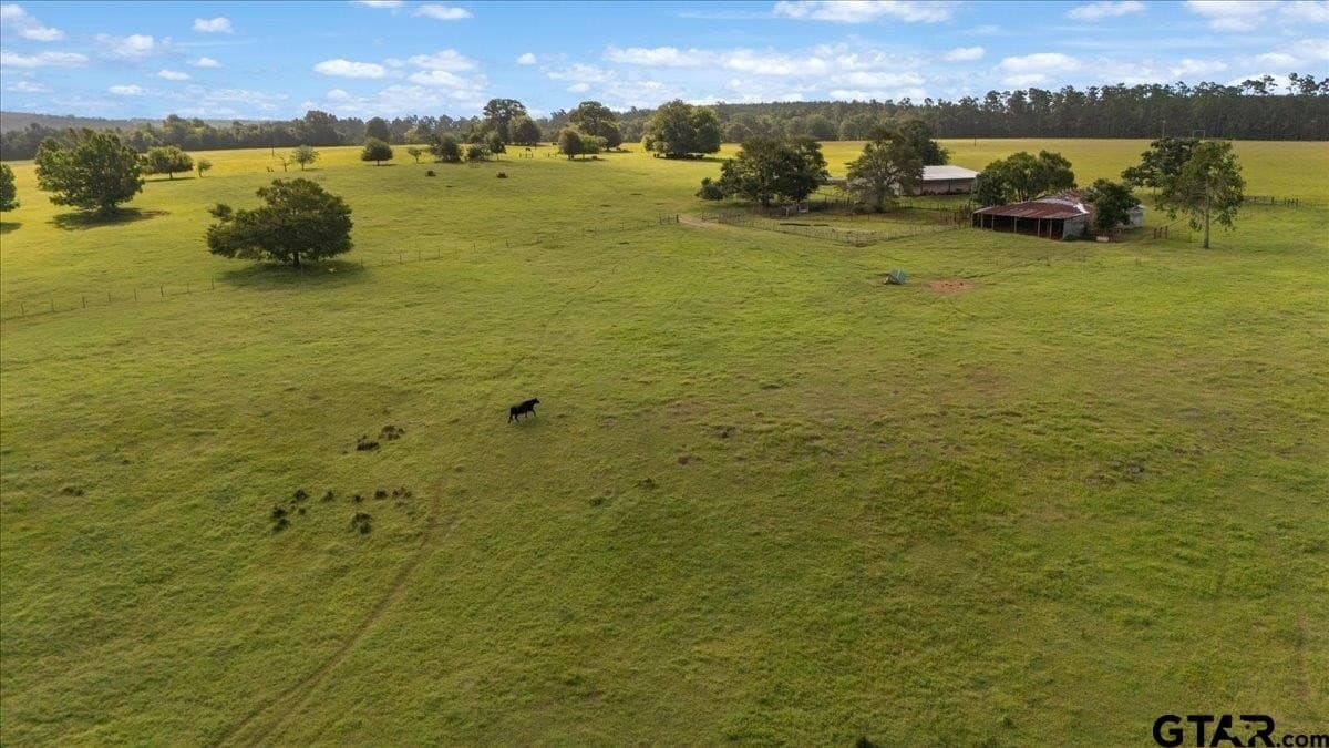 78 acres in Rusk County - photo 9