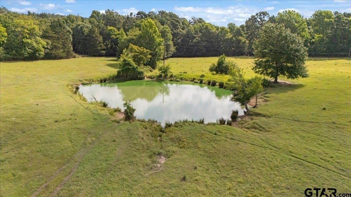 78 acres in Rusk County - photo 23