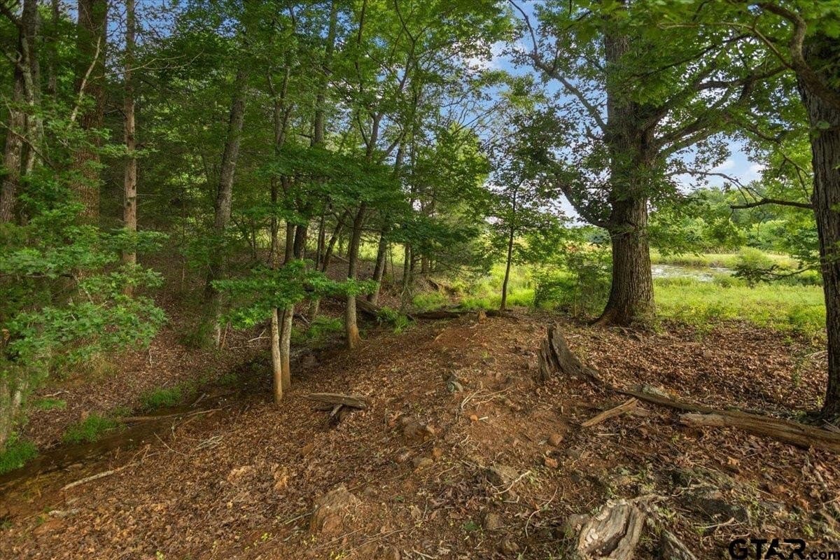 78 acres in Rusk County - photo 34