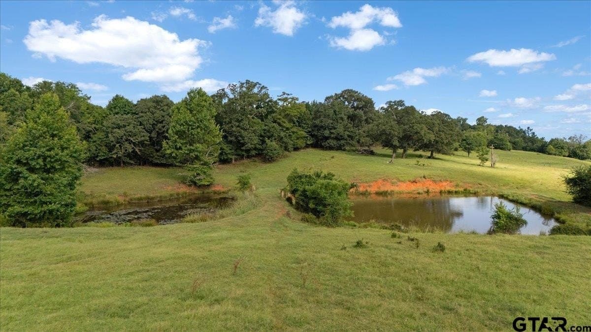 78 acres in Rusk County gallery image 4