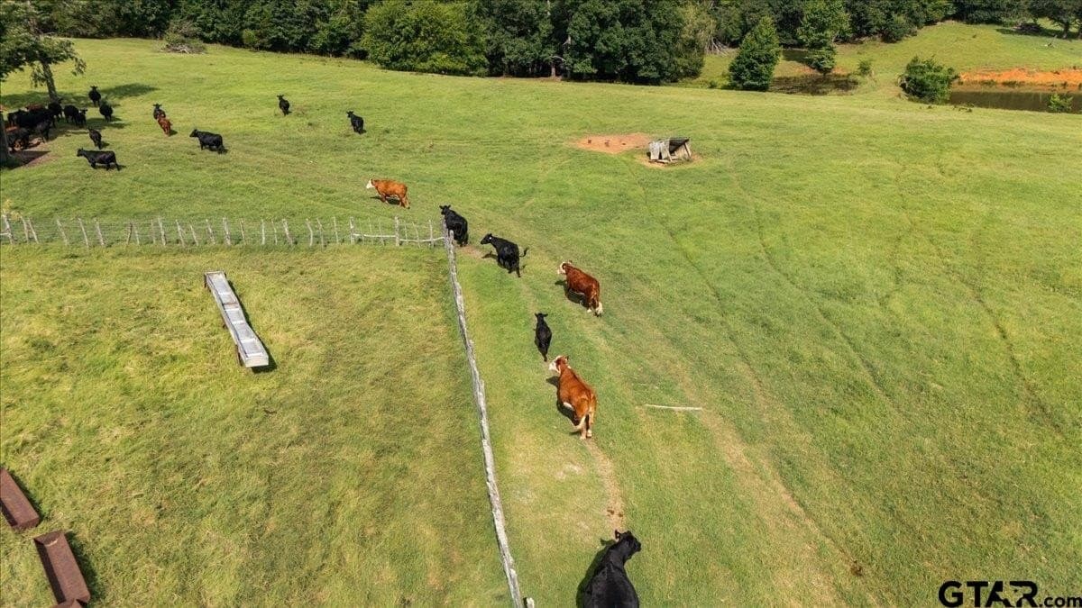 78 acres in Rusk County - photo 20