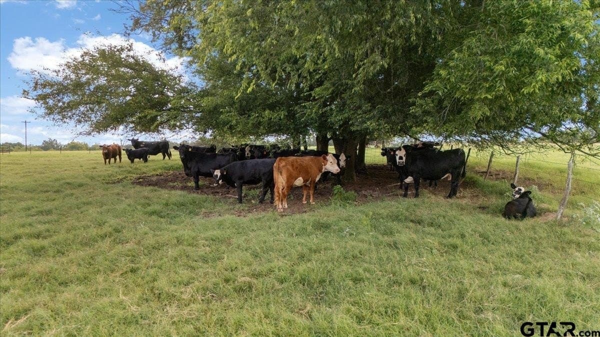 78 acres in Rusk County - photo 14
