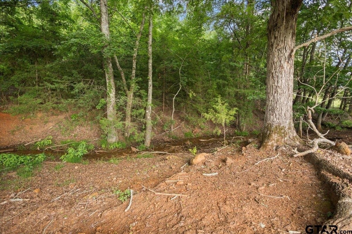 78 acres in Rusk County - photo 31