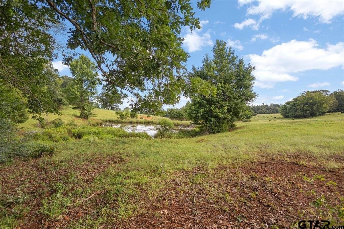 78 acres in Rusk County - photo 36